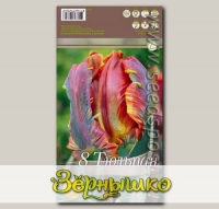 Тюльпан попугайный BLUMEX, 8 шт.