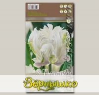 Тюльпан попугайный WHITE PARROT, 8 шт.