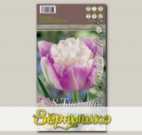 Тюльпан махровый поздний SWEET DESIRE, 8 шт.