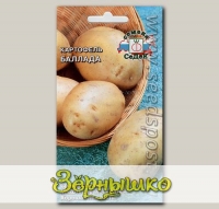 Картофель Баллада, 0,02 г (~ 30-40 шт. ботанических семян)