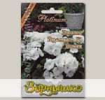 Пеларгония садовая Пинто Премиум Вайт F1, 5 шт. Platinum
