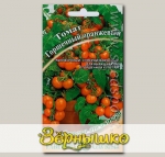 Томат Горшечный Оранжевый, 0,1 г Семена от автора