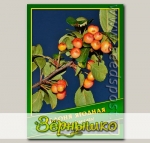 Яблоня Ягодная, 0,5 г (? 50 шт.)