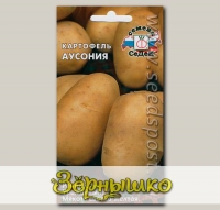 Картофель Аусония, 0,02 г (~ 30-40 шт. ботанических семян)