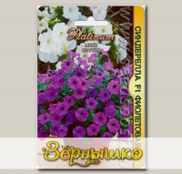 Петуния Мини Синдерелла Фиолетовая F1, 20 шт. Platinum