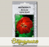 Абутилон Белла Красный F1, 3 шт. Профессиональные семена