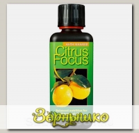 Удобрение для цитрусовых Citrus Focus, 100 мл