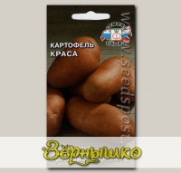 Картофель Краса, 0,02 г (~ 30-40 шт. ботанических семян)