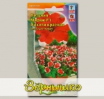 Петуния многоцветковая Мираж Пикоти Красная F1, 10 шт. PanAmerican Seed