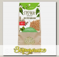 Гречка зеленая для проращивания, 500 г