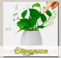 Умный музыкальный горшок для цветов Smart Music Flowerpot Белый