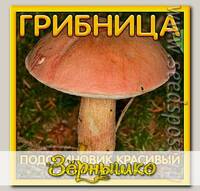 Грибница субстрат микоризный Подосиновик Красивый, 1 л