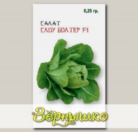Салат латук Слоу Болтер, 0,25 г Nong-Woo-Bio