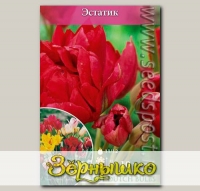 Тюльпан многоцветковый ESTATIC, 10 шт.