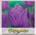 Тюльпан простой поздний VIOLET BEAUTY, 5 шт. NEW