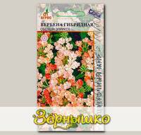 Вербена Обсэшн Эприкот, 10 шт.
