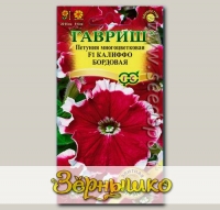 Петуния многоцветковая Калиффо F1 Бордовая, 10 шт. Элитная клумба