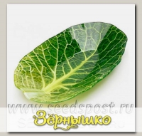 Салатник Walmer Colourful Leaf Lettuce, 13х23 см