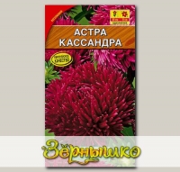 Астра Кассандра, 0,2 г