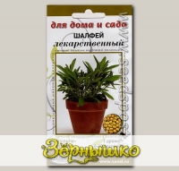Шалфей лекарственный, 5 мультидраже (1 драже - 8-10 растений) Для дома и сада