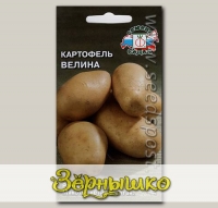 Картофель Велина, 0,02 г (~ 30-40 шт. ботанических семян)