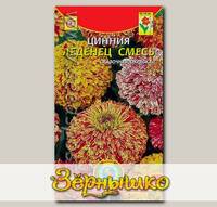 Цинния Леденец, Смесь, 0,3 г
