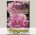 Петуния крупноцветковая махровая Дабл каскад Орхид Мист F1, 10 шт. Platinum