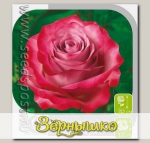 Роза чайно-гибридная ДИП ПЕРПЛ, 1 шт.