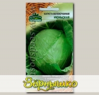 Капуста белокочанная Июньская, 0,5 г Огородные традиции