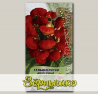 Кальцеолярия Дэинти Красная, 5 шт.