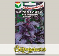Базилик Бархатисто-Черный, 0,5 г