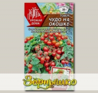 Томат Чудо на окошке, 0,1 г Урожай дома