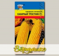 Кукуруза Сахарный тростник F1, 1 г Premium Selection