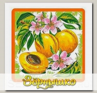 Прихватка Ягоды-фрукты (абрикос)