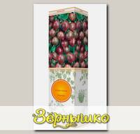 Крыжовник ЧЕРНОСЛИВОВЫЙ, 1 шт.
