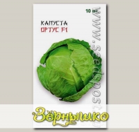 Капуста белокочанная Ортус F1, 10 шт. Takii-Seeds