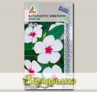 Катарантус Виктори Брайт Ай, 10 шт. Sakata