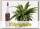 Капельный дозатор (Питание для комнатных растений) Houseplant Focus Drip Feeders, 38 мл
