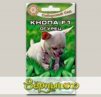 Огурец Кнопа F1, 7 шт.