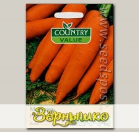 Морковь Роте Ризен, 500 шт.