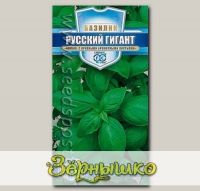 Базилик Русский гигант Зеленый, 0,3 г Русский богатырь